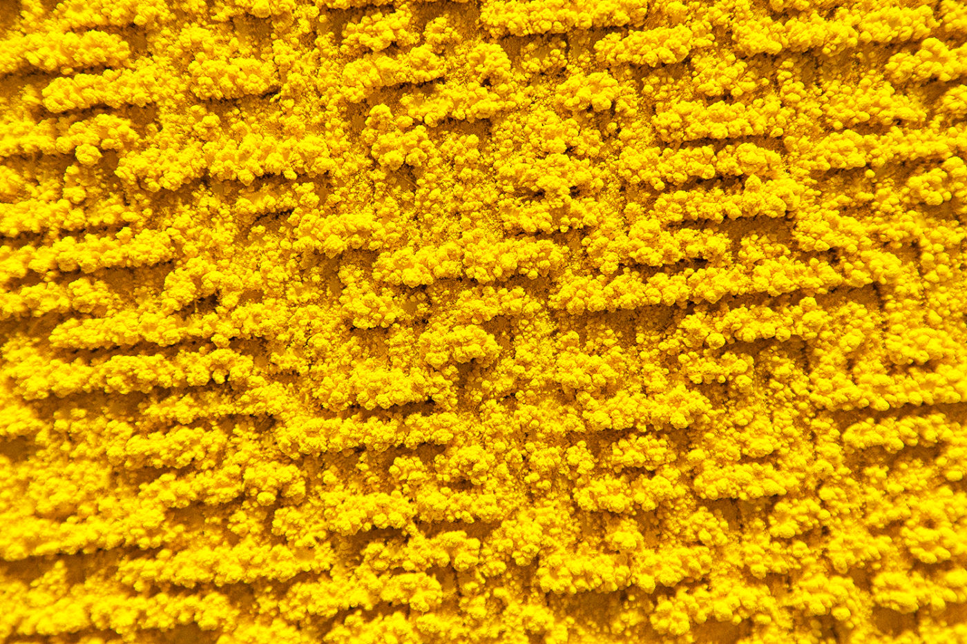 LABYRINTH 3 (yellow),