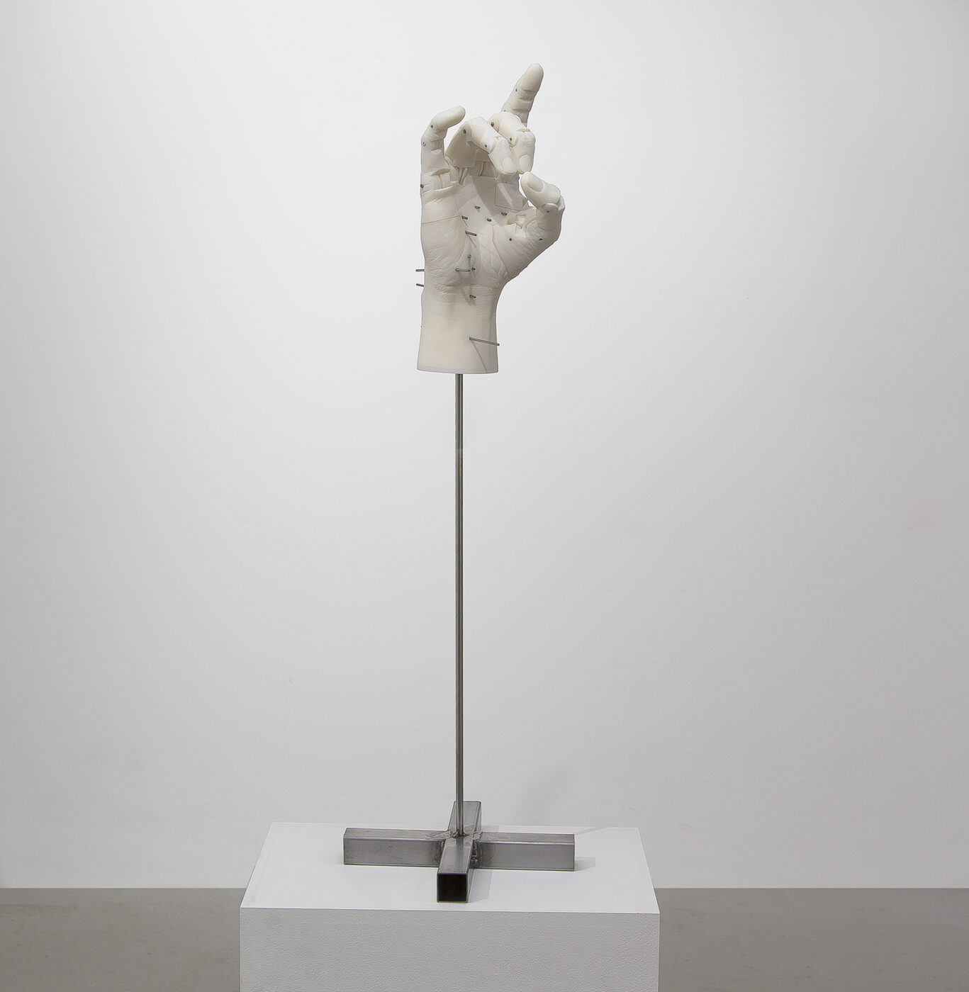 ANCIENT ANIMAL HEAD,