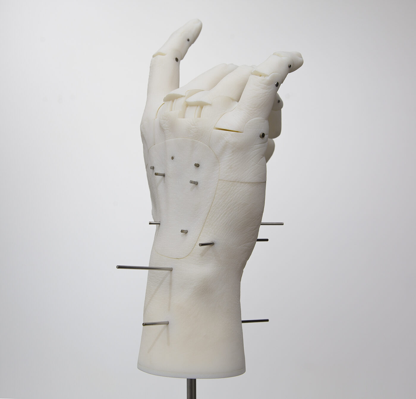 ANCIENT ANIMAL HEAD,