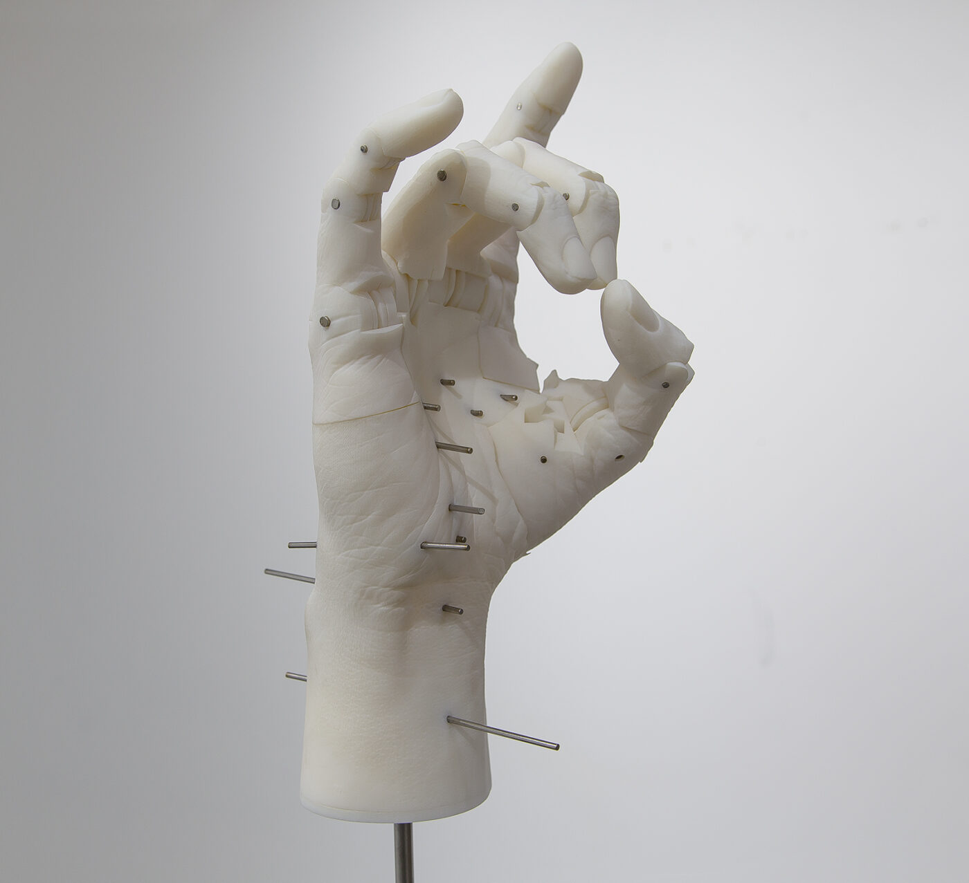 ANCIENT ANIMAL HEAD,