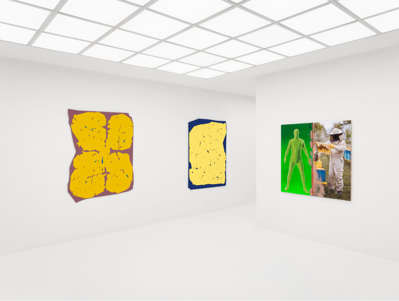 (a) VIRTUALITY, installation view, 2024