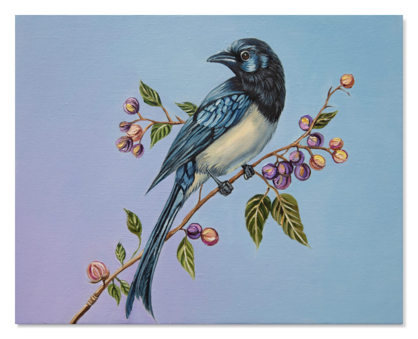 Christina Nicodema: Bird (Blue #1) 2025